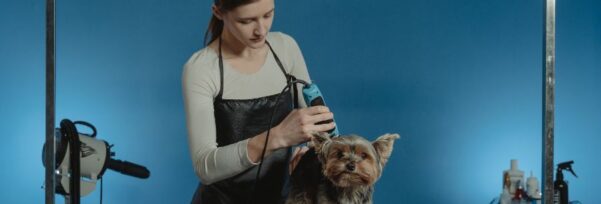 Logiciel salon de toilettage